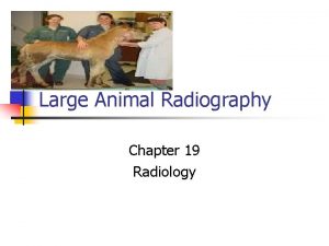 Large Animal Radiography Chapter 19 Radiology Introduction n