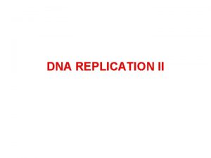 DNA REPLICATION II EUKARYOTIC DNA SYNTHESIS IS SIMILAR