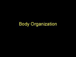 Body Organization Levels of Organization Section 7 4