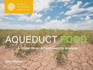 Aqueduct food