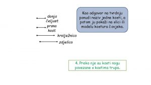 donja eljust prsna kost kraljenica Kao odgovor na