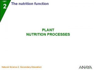 UNIT 2 The nutrition function PLANT NUTRITION PROCESSES