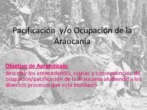 Pacificacin yo Ocupacin de la Araucana Objetivo de