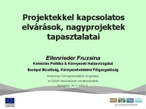 Projektekkel kapcsolatos elvrsok nagyprojektek tapasztalatai Ellenrieder Fruzsina Kohzis