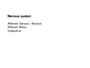 Nervous system Afferent Sensory Receive Efferent Motor Integrative