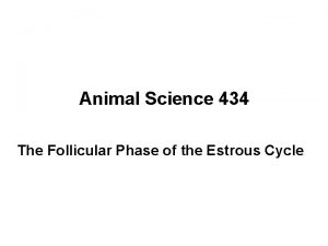 Animal Science 434 The Follicular Phase of the