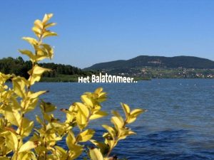 Wat Balatonmeer Welk Balatonmeer Waar Balatonmeer Hoezo Balatonmeer