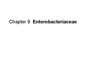 Chapter 9 Enterobacteriaceae Enterobacteriaceae Include Escherichia Shigella Salmonella