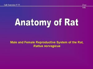 Lab Exercise 11 Zoo 145 Male and Female