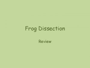 Frog mouth dissection