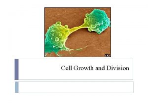 Cell Growth and Division The Cell Cycle The