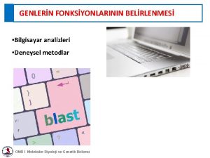 GENLERN FONKSYONLARININ BELRLENMES Bilgisayar analizleri Deneysel metodlar OM