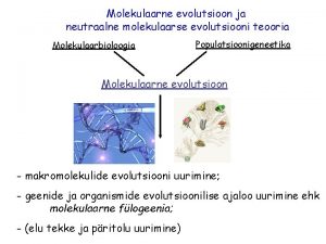 Molekulaarne evolutsioon ja neutraalne molekulaarse evolutsiooni teooria Molekulaarbioloogia