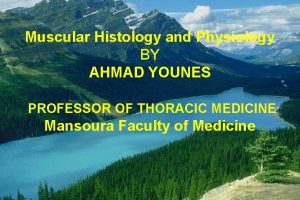 Muscular Histology and Physiology BY AHMAD YOUNES PROFESSOR