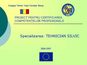 Colegiul Tehnic Ioan Ciorda Beiu PROIECT PENTRU CERTIFICAREA