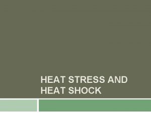 HEAT STRESS AND HEAT SHOCK What is Heat