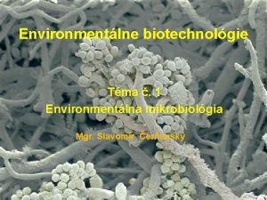 Environmentlne biotechnolgie Tma 1 Environmentlna mikrobiolgia Mgr Slavomr