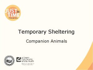 Temporary Sheltering Companion Animals Natural Disasters People evacuating