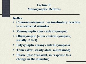 Lecture 8 Monosynaptic Reflexes Reflex Common misnomer an