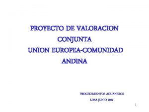 PROYECTO DE VALORACION CONJUNTA UNION EUROPEACOMUNIDAD ANDINA PROCEDIMIENTOS