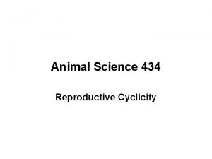 Animal Science 434 Reproductive Cyclicity Terminology Estrus is