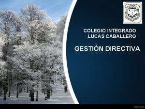 COLEGIO INTEGRADO LUCAS CABALLERO GESTIN DIRECTIVA GESTIN DIRECTIVA