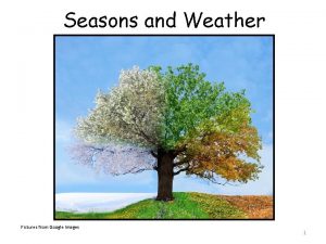 Pictures of seasons