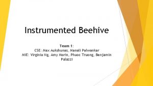 Instrumented Beehive Team 1 CSE Max Aukshunas Manali
