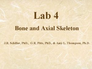 Histology of compact bone