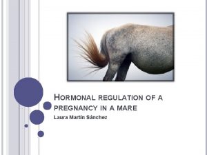 HORMONAL REGULATION OF A PREGNANCY IN A MARE