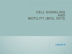 CELL SIGNALING AND MOTILITY BIOL 3373 Lecture 6