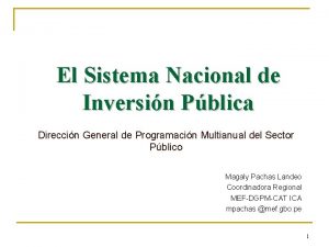 El Sistema Nacional de Inversin Pblica Direccin General