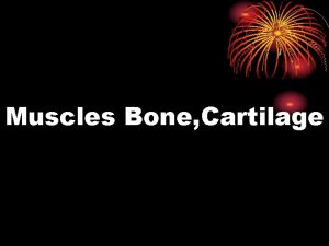 Muscles Bone Cartilage Muscles Skeletal Smooth Cardiac 4