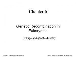 Chapter 6 Genetic Recombination in Eukaryotes Linkage and