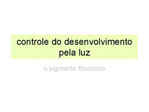 controle do desenvolvimento pela luz o pigmento fitocromo