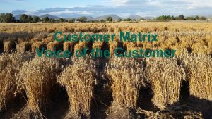 Voice of the customer matrix