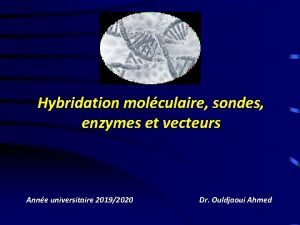 Hybridation molculaire sondes enzymes et vecteurs Anne universitaire