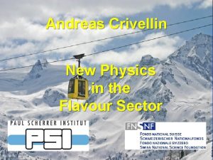 Andreas Crivellin New Physics in the Flavour Sector