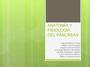 ANATOMA Y FISIOLOGA DEL PNCREAS Gabriela Blanco Flores