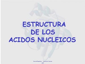 ESTRUCTURA DE LOS ACIDOS NUCLEICOS Seccin Bioqumica Facultad