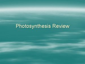 Photosynthesis Review Photosynthesis An Overview Photosynthesis is the