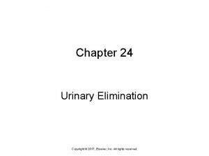 Chapter 24 urinary elimination