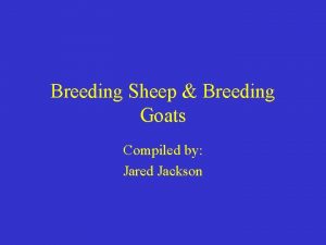 Breeding Sheep Breeding Goats Compiled by Jared Jackson