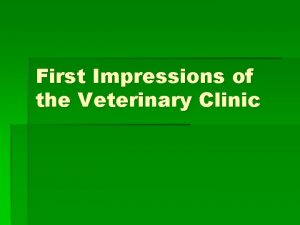 First Impressions of the Veterinary Clinic First things