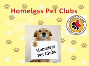 Homeless Pet Clubs What is it Homeless Pet
