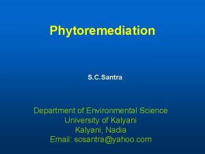 Phytoremediation S C Santra Department of Environmental Science