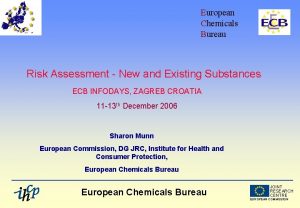 European Chemicals Bureau Risk Assessment New and Existing