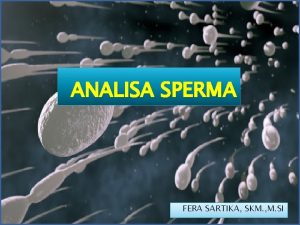 Spermatozoa adalah