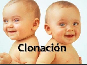 Clonacin Que es la clonacin Palabra griega retoo