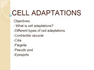 CELL ADAPTATIONS Objectives What is cell adaptations Different